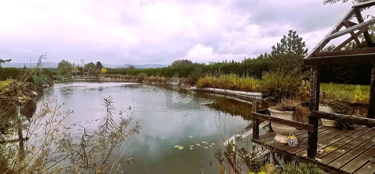ENTSPANNUNG PUR - FISCHTEICH MIT HÜTTE UND STREUOBSTWIESE