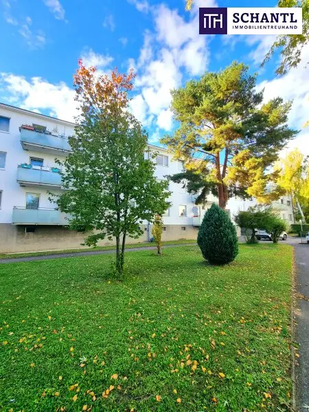 Absolute Grün- und Ruhelage! Gebraucht. Gepflegt. Geliebt! Perfekt aufgeteilte 3-Zimmer + separate Küche / 2 Balkone / Viele Möglichkeiten! Ruhig wohnen, gut leben!