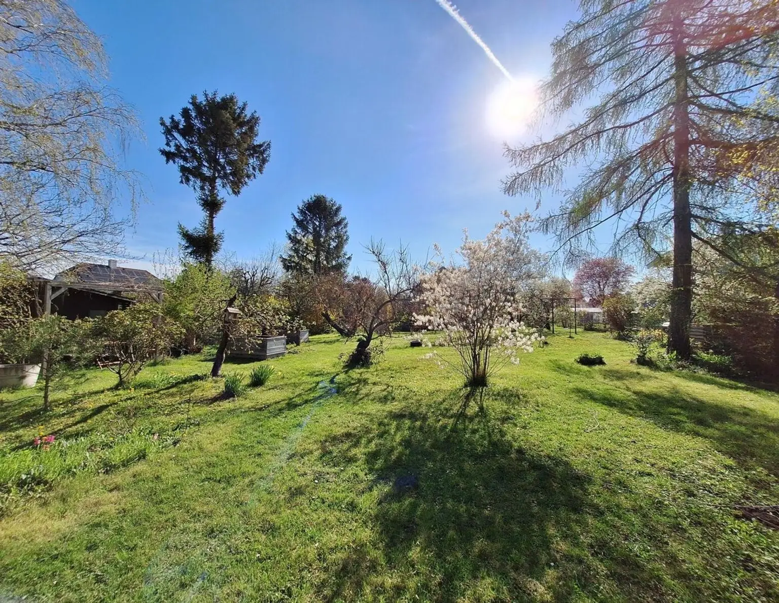 Großes Grundstück mit zwei Kaufoptionen (Teilungsentwurf)