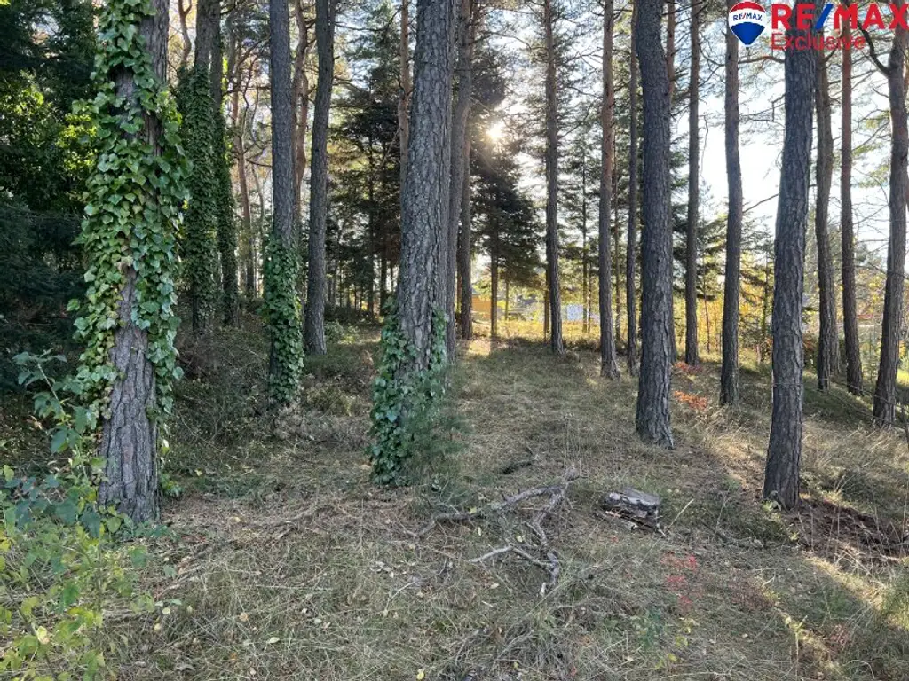 Klein und fein in der Buckligen Welt! Kleines Haus auf fast 2000m2!