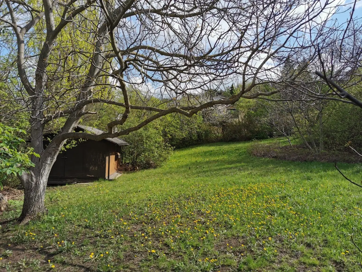 01 Baugrund Riederberg