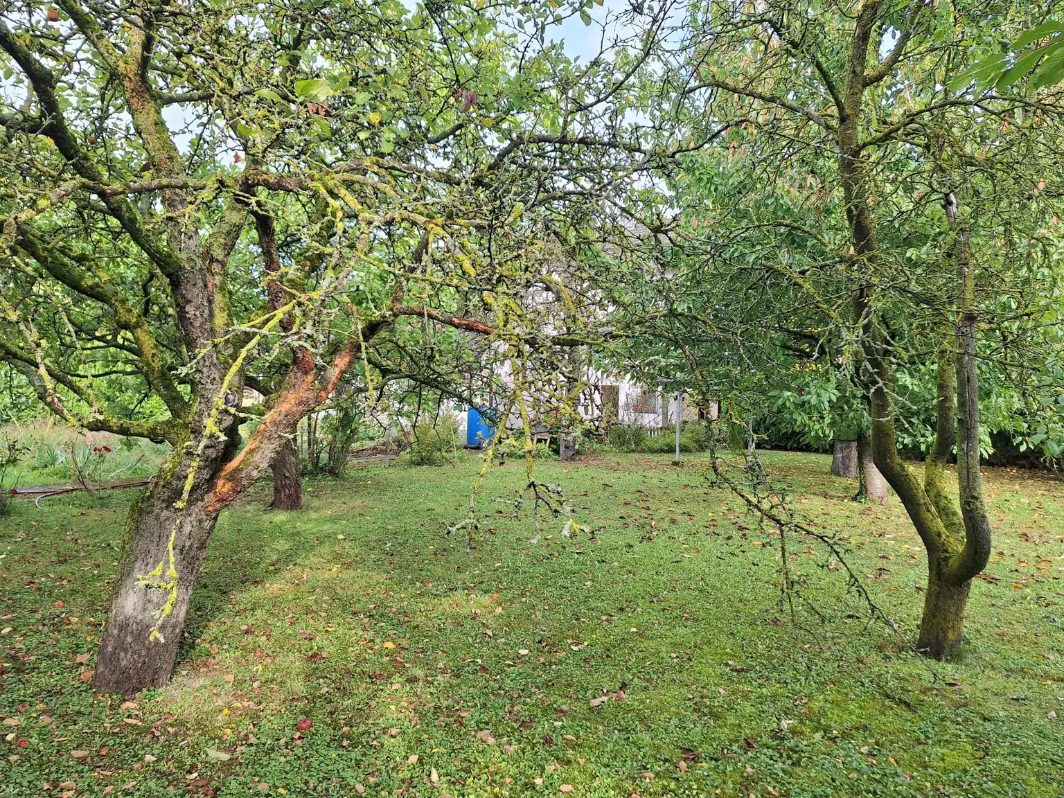 Einfamilienhaus in Prinzersdorf