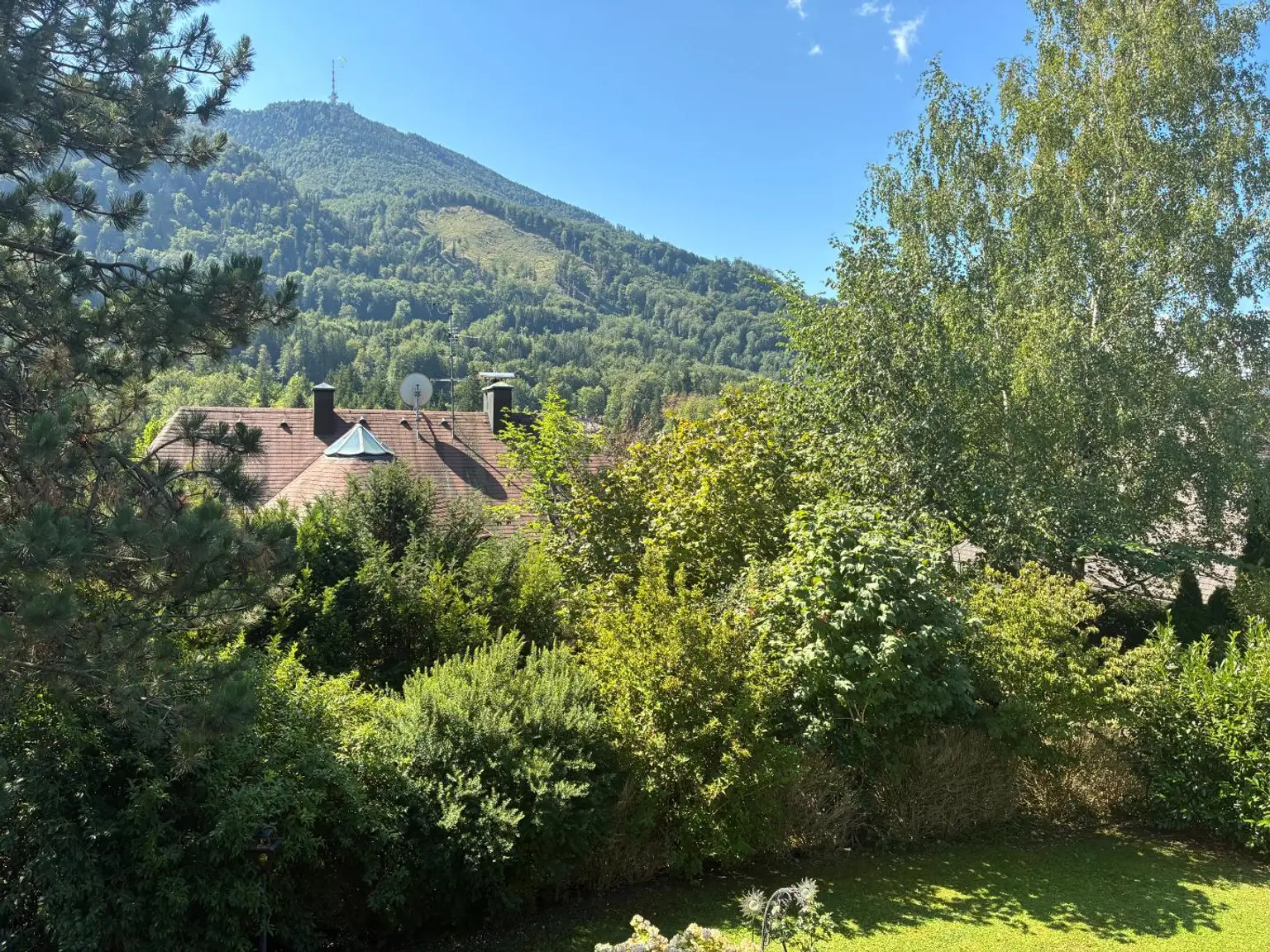 Foto 08.08.26, 11 12 59