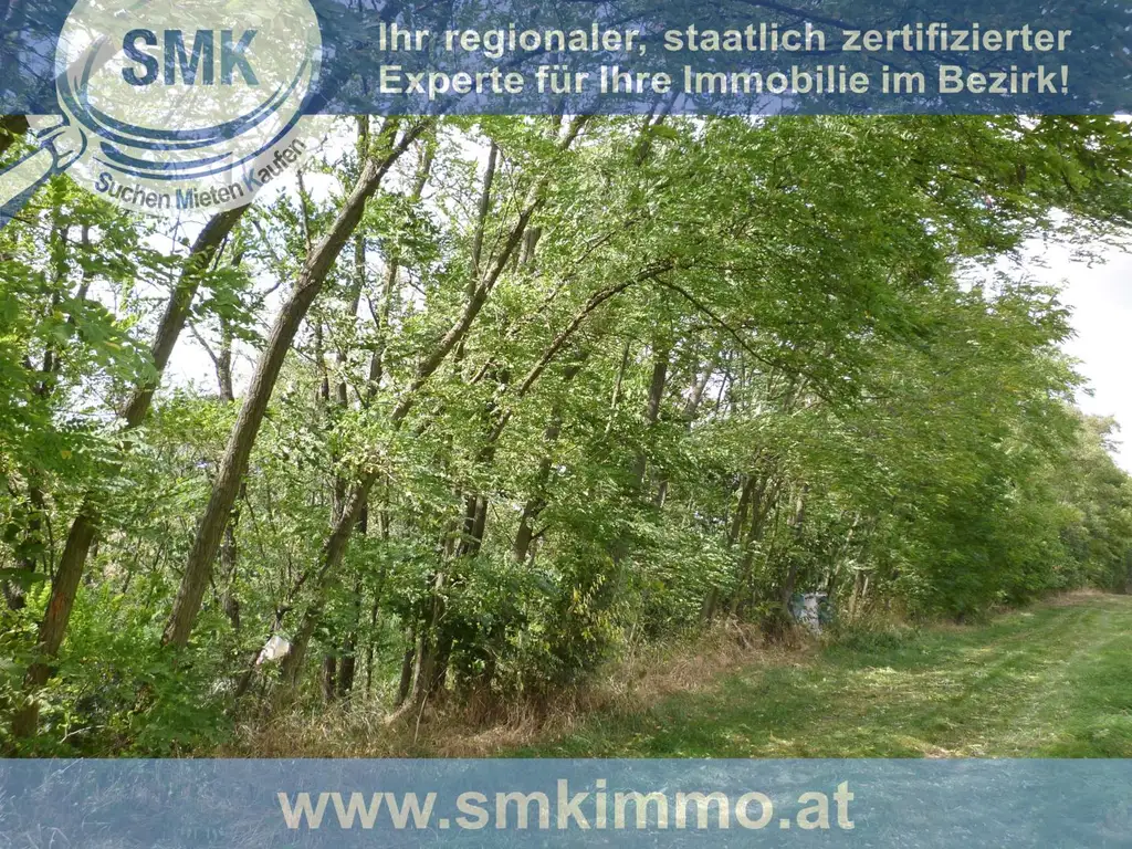 Waldgrundstück Nähe A5!