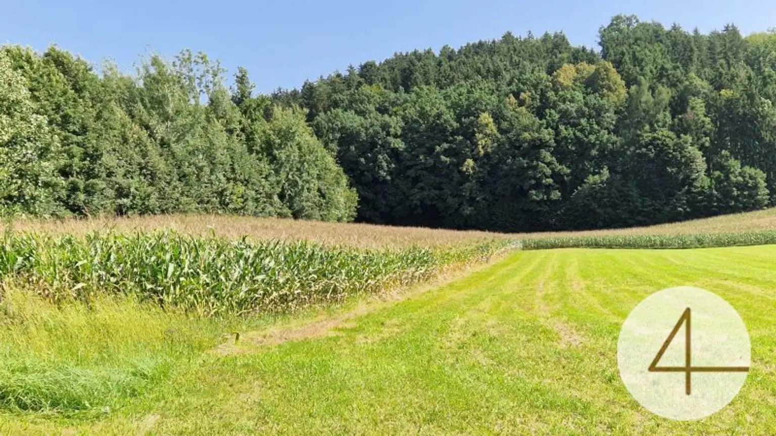 Ackerfläche von 8,8ha zu verkaufen