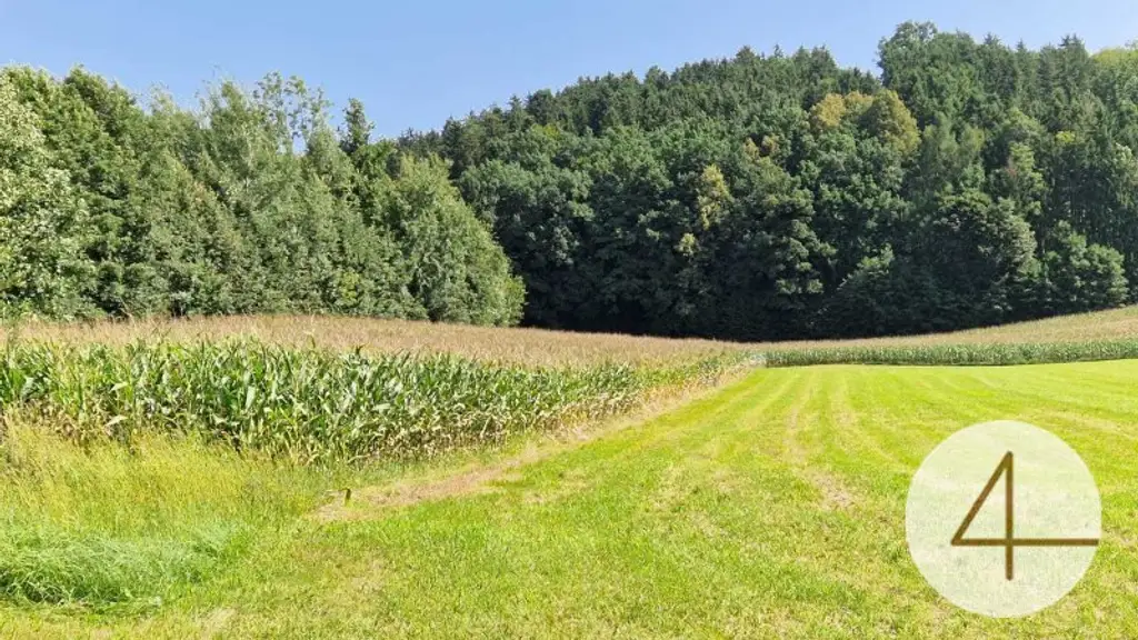 Ackerfläche von 8,8ha zu verkaufen