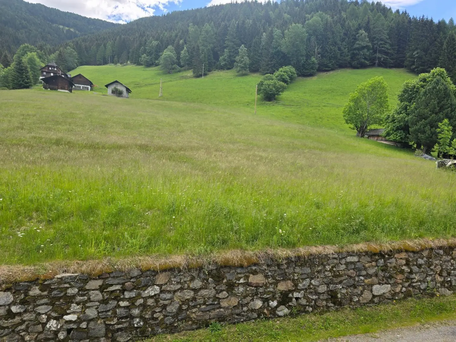 grüne Wiesen