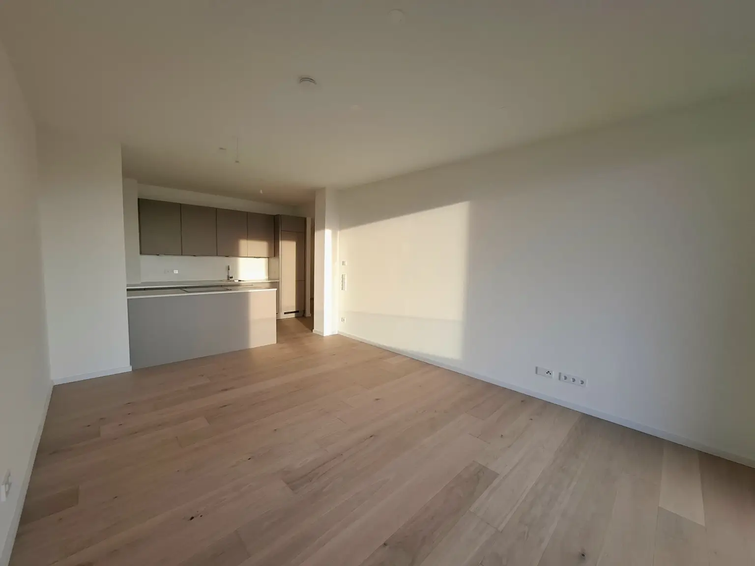 20251119_153355-VSCO