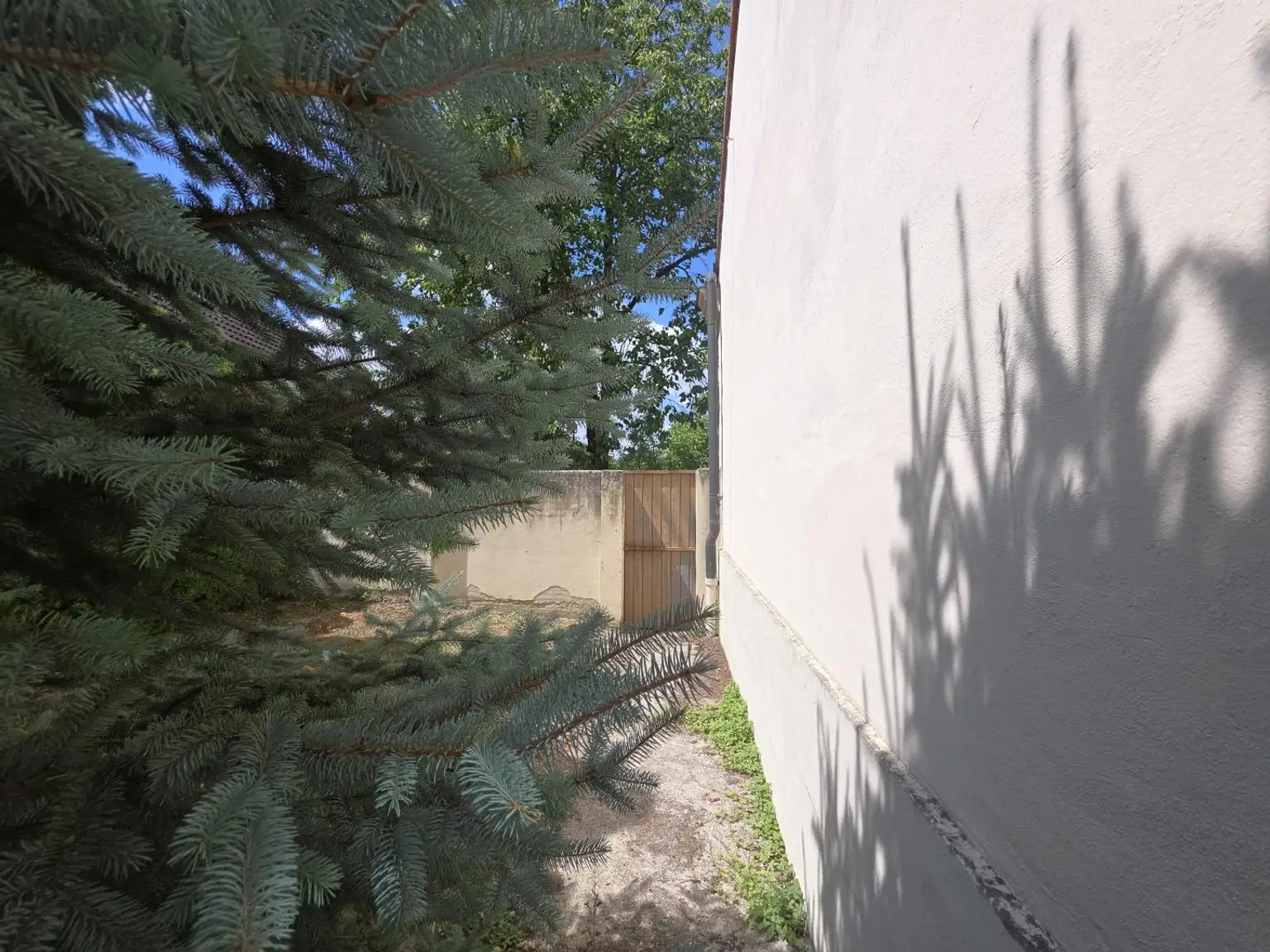 Zugang zum Garten