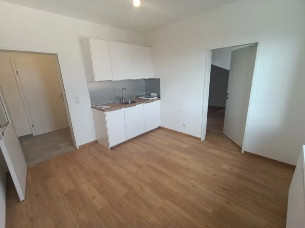 Single-Hit in Maissau- Erstbezug