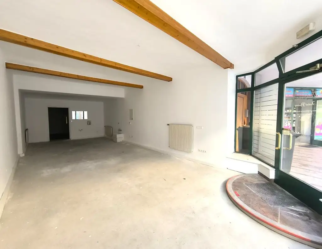 Zentral gelegenes Zinshaus mit 2 Wohnungen, 2 Geschäftslokalen und eigenem Ateliergebäude, teilsaniert.