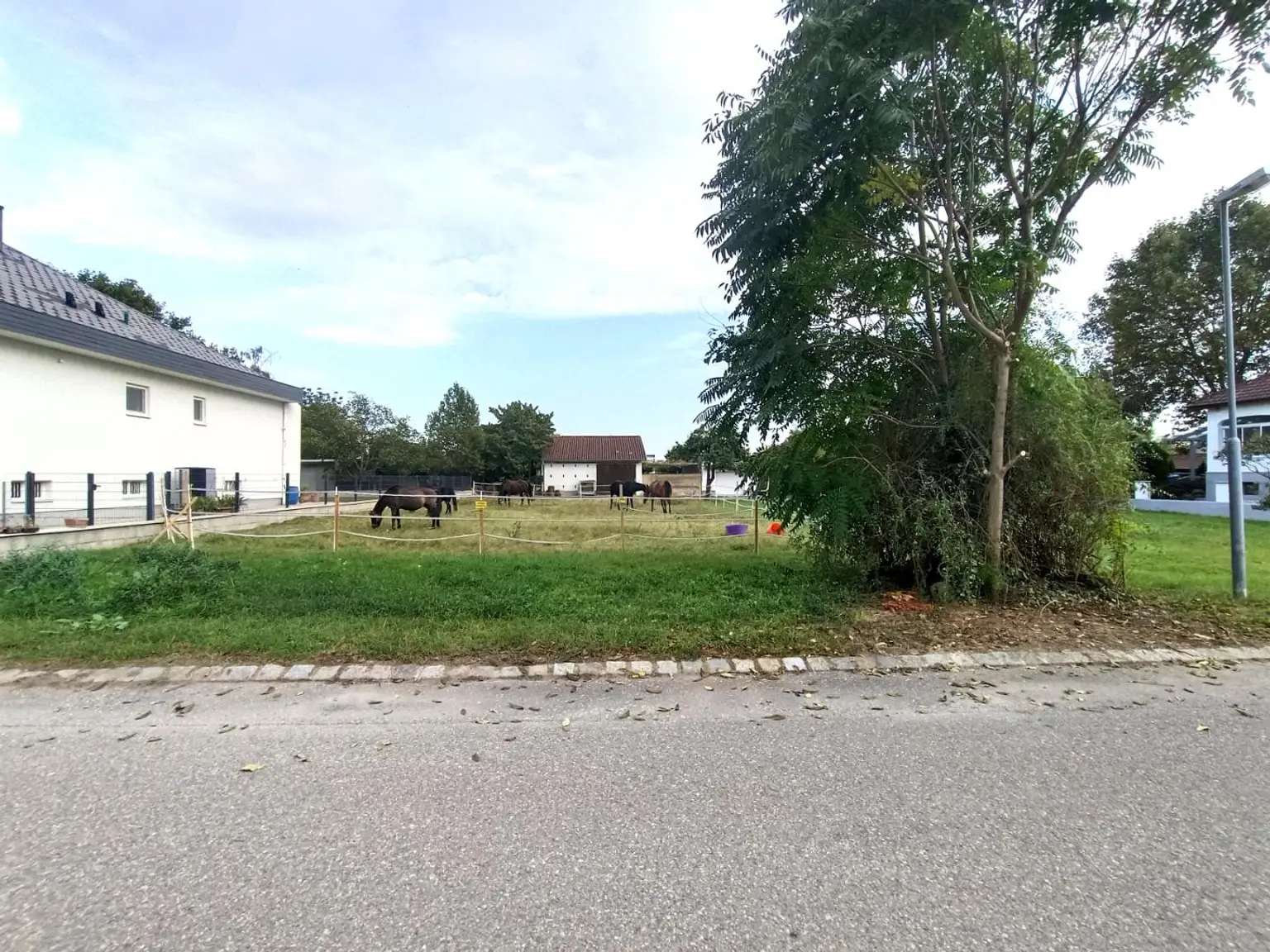 Grundstück Gols