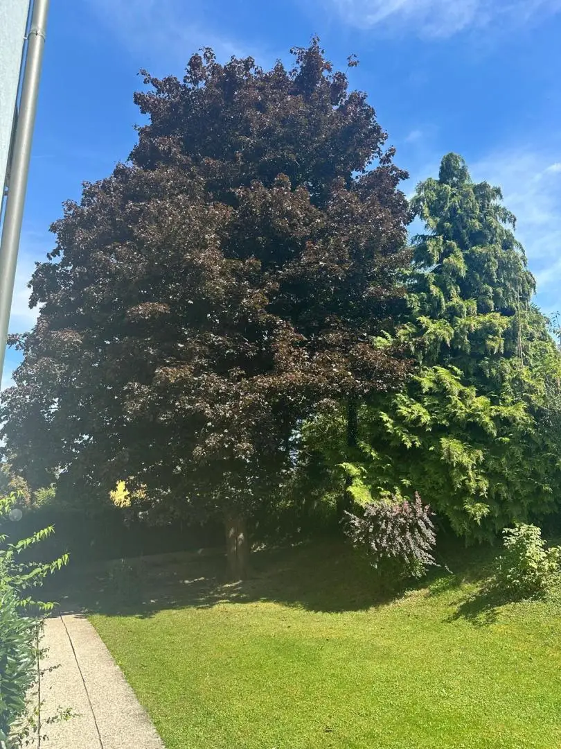 Schärding-Innviertel! Schöne, helle Eigentumswohnung in ruhiger Lage mit Loggia zu verkaufen!