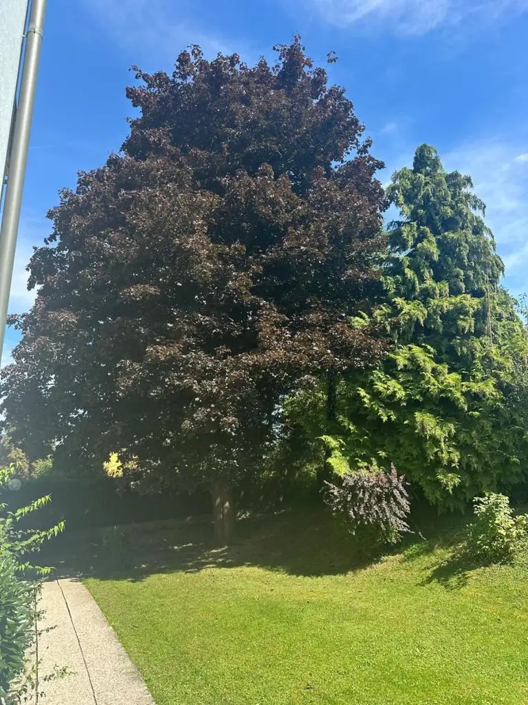 Schärding-Innviertel! Schöne, helle Eigentumswohnung in ruhiger Lage mit Loggia zu verkaufen!