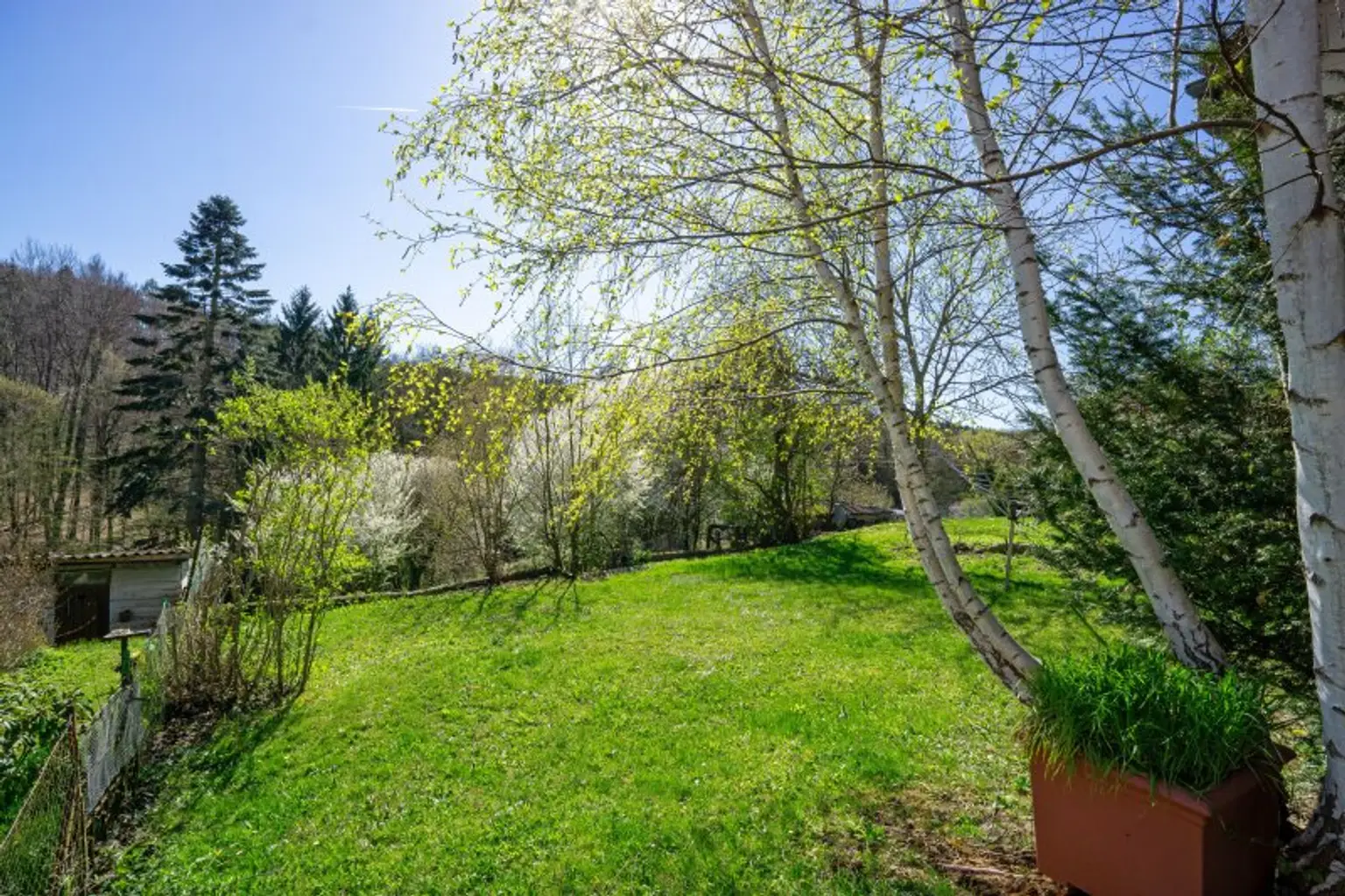 Blick über das Bauland (Wiese) Richtung Grünland