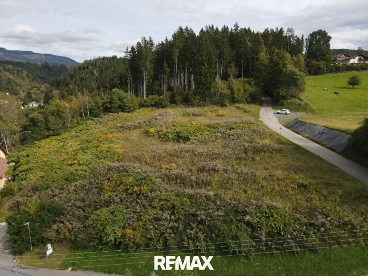 DJI_0037