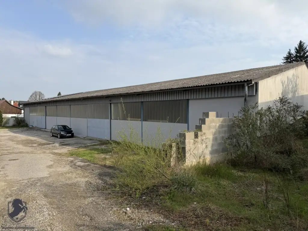 Wohnen & Arbeiten vereint! Bewilligte Halle (965 m²) + Wohnhaus auf 3.700 m² Grundstück