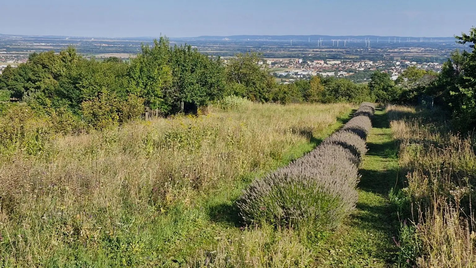nur für NATURLIEBHABER