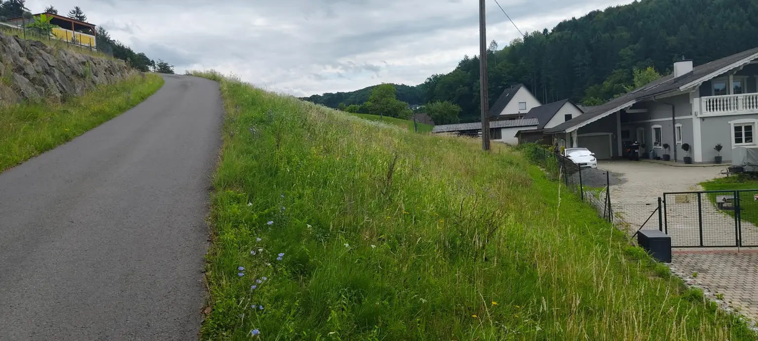 Baugrund mit Ecken und Kanten- gestalten Sie Ihr Paradies