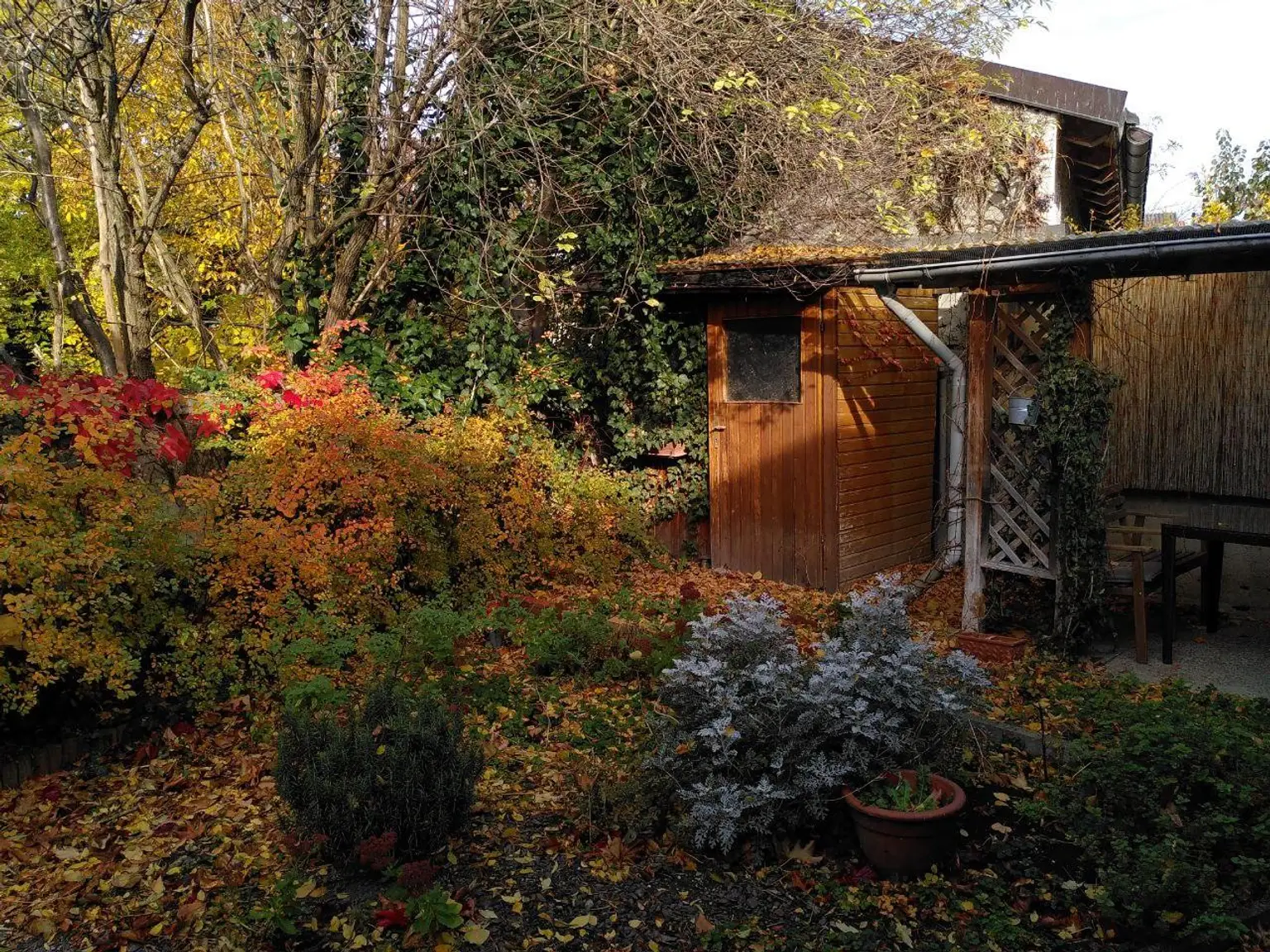 Charmantes Einfamilienhaus mit modernisiertem Bestand und gemütlichem Garten