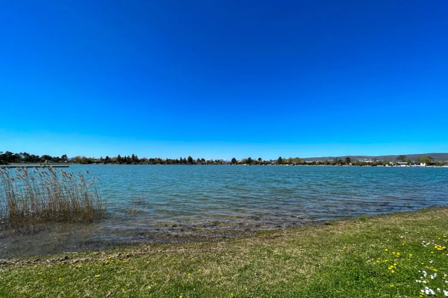 flacher Einstieg in den Esterhazysee