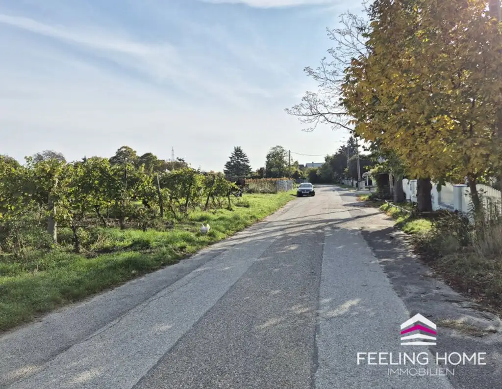 Verwirklichen Sie Ihre Wohnträume – vis-à-vis vom Weinberg und nahe dem Marchfeldkanal in Stadtrandlage!