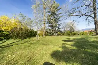 15_015