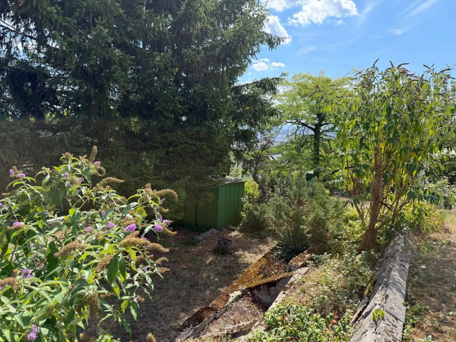 Grundstück Schafberg 1180 Wien