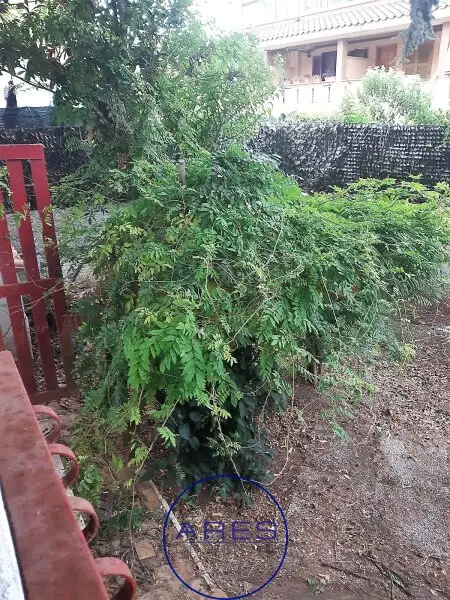 ITALIEN - Unweit von Rom wartet dieser herrliche Villenanteil innerhalb einer exklusiven Anlage mit Privatstrand auf Sie!