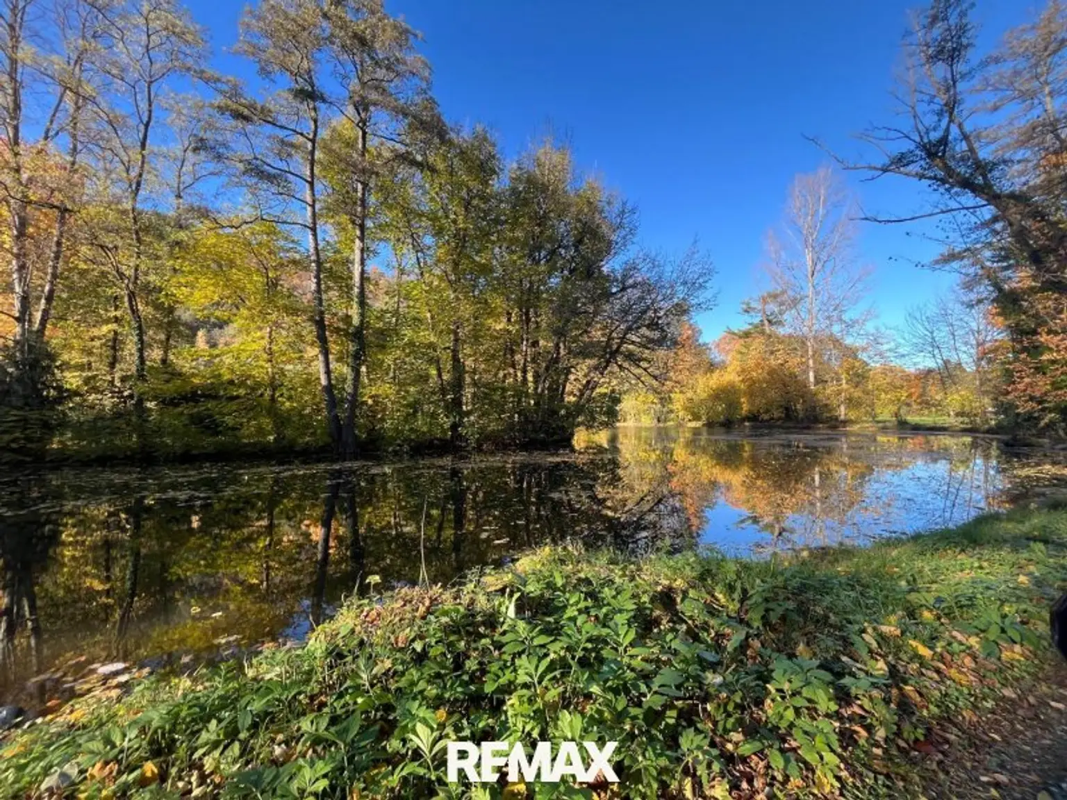 Teich
