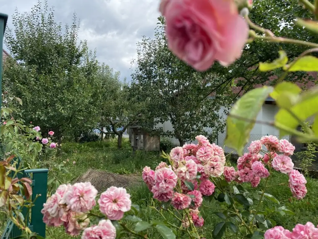 2 Häuser mit Nebengebäuden und Garten