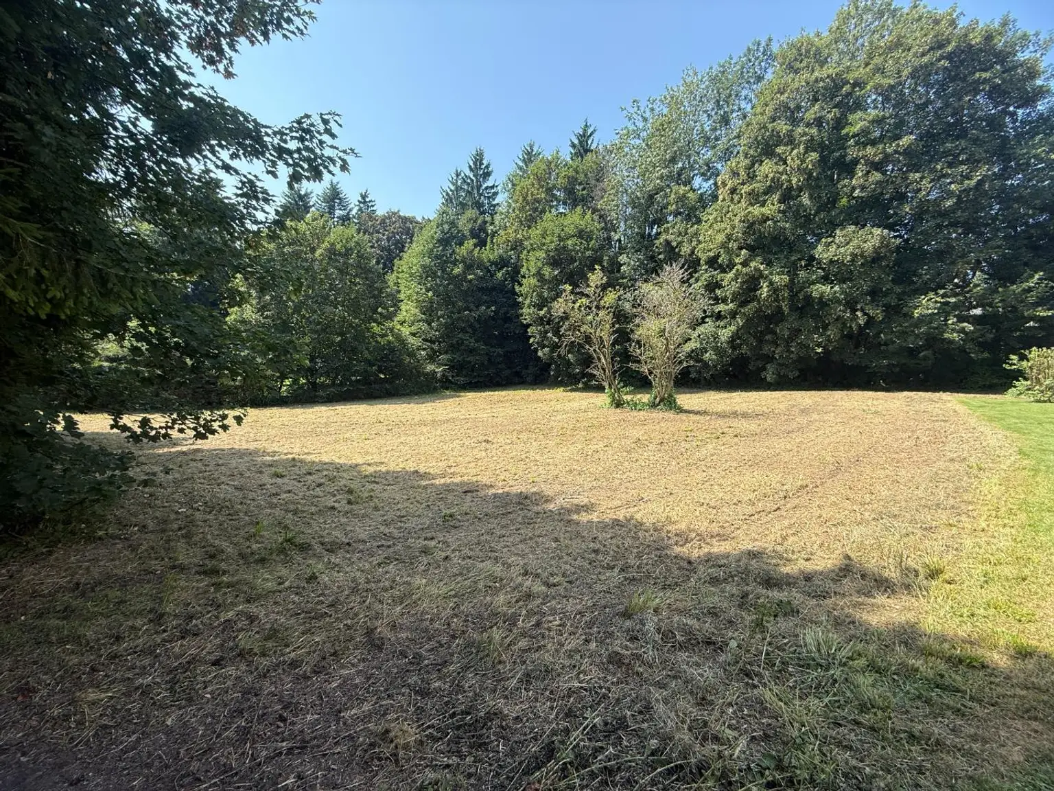 *** Ruhig, zentral, naturnah 2219 m² Baugrund im Herzen von Aflenz Kurort***