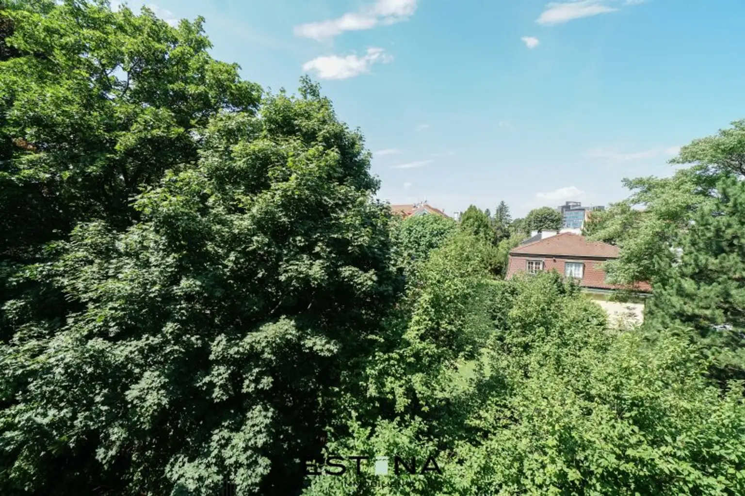 Lichtdurchflutete 4-Zimmer-Wohnung – Ihr neues Zuhause mit Weitblick