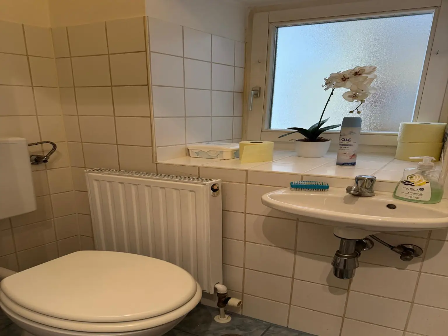 Romantische Wohnung im Erdgeschoß mit Altstadtflair!