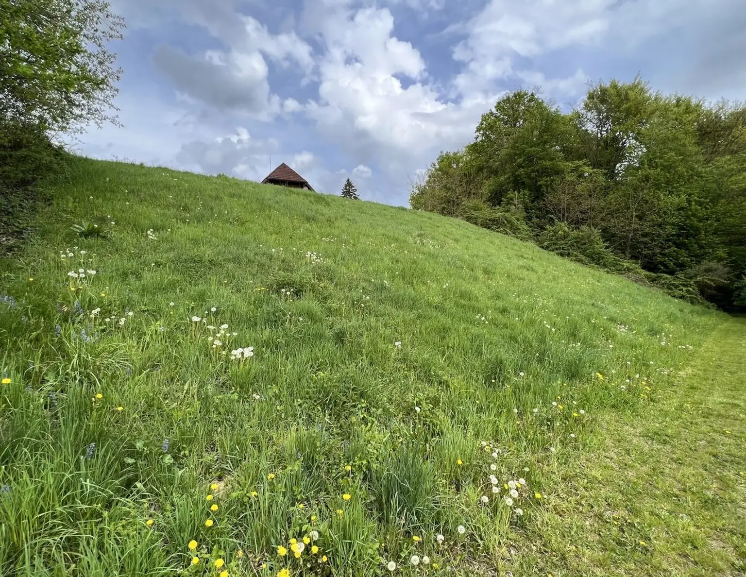 Baugrundstück in Sinabelkirchen - Ruhig, sonnig & zentrumsnah