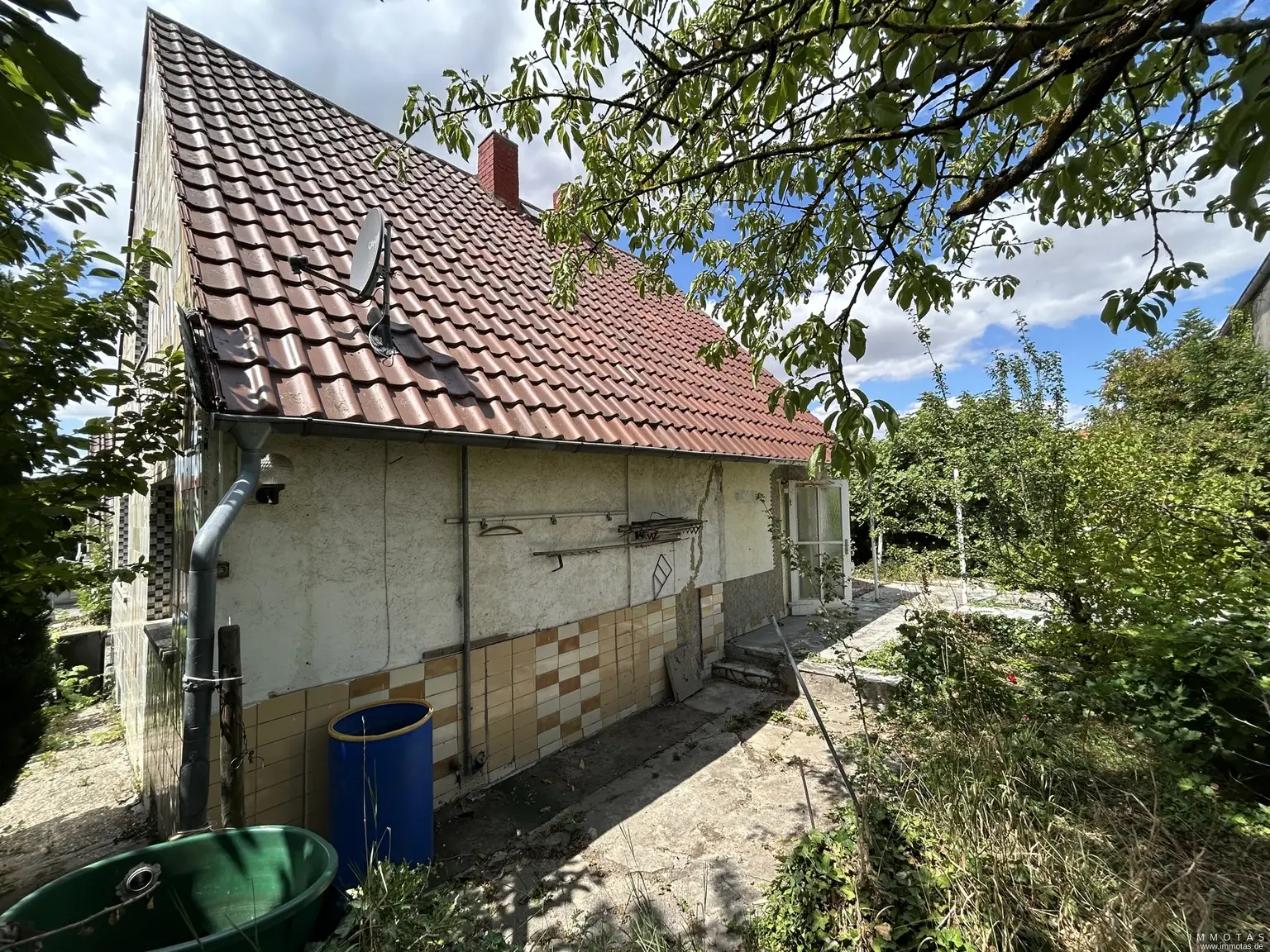 Seitansicht