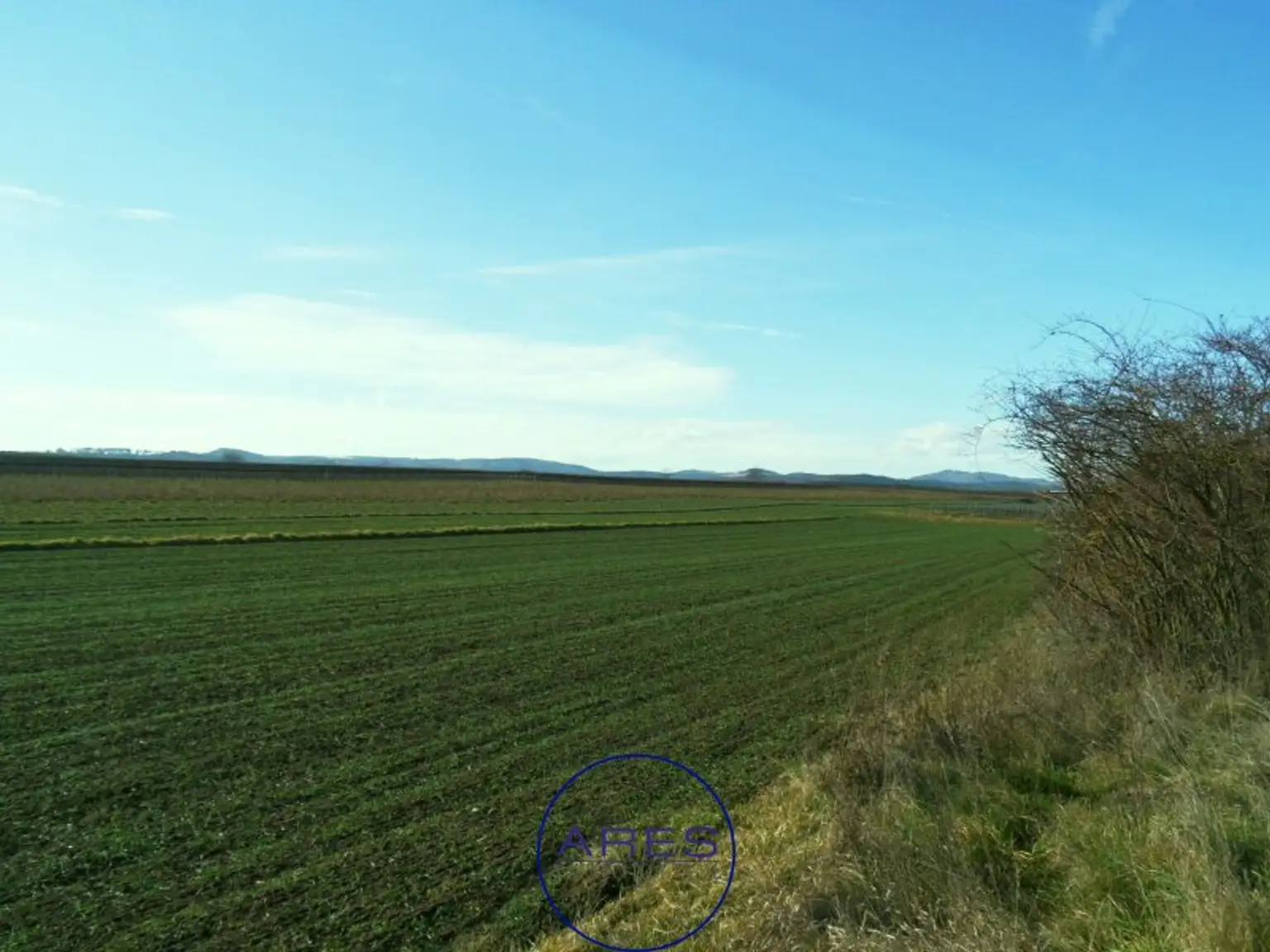 Baugrund mit Fernsicht in bester Lage in Gneixendorf