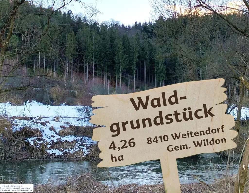 Waldgrundstück (4,26 ha) in Weitendorf zu verkaufen