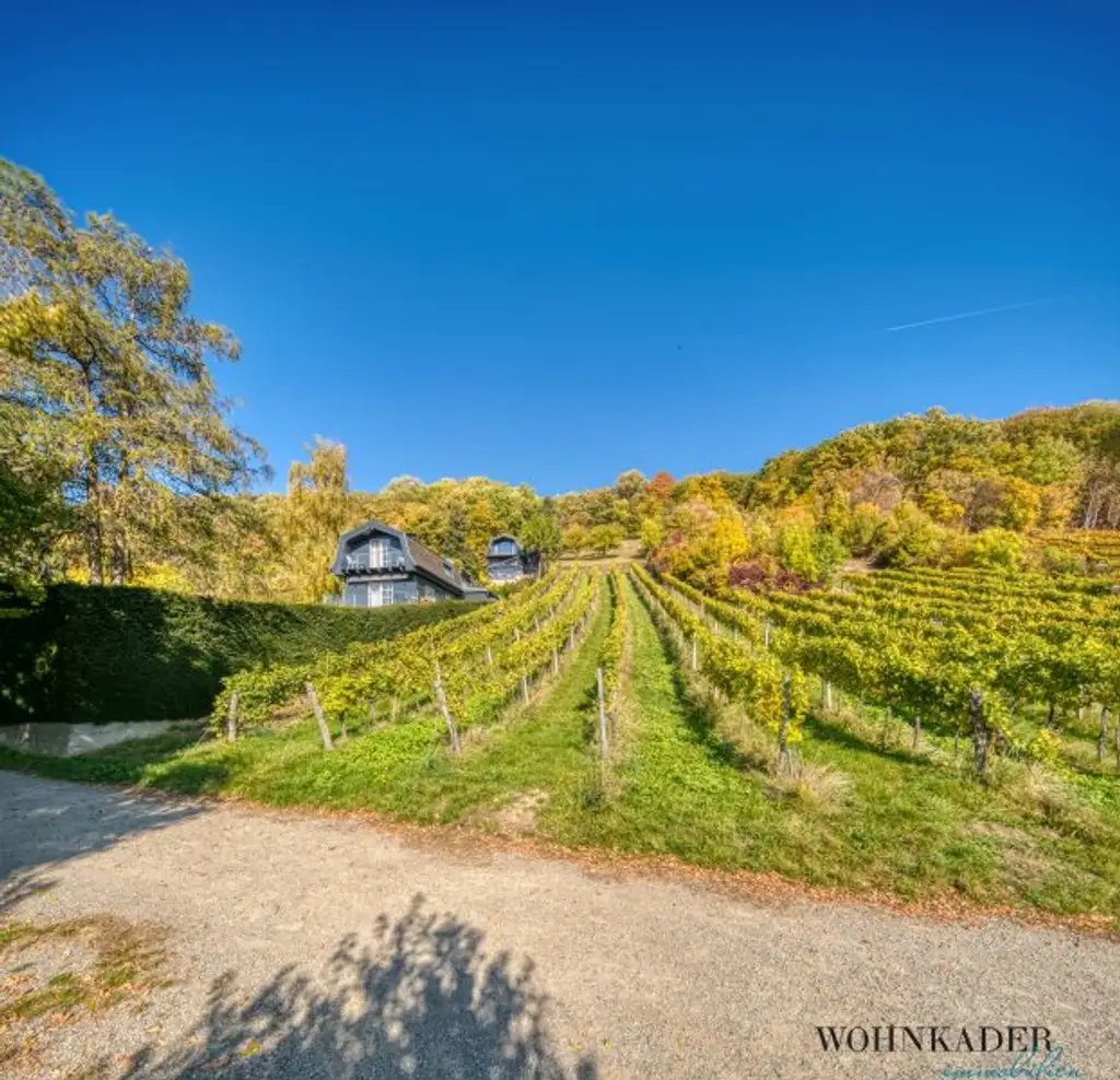Exklusives Traumhaus zur Miete mit Panoramablick auf die Weinberge