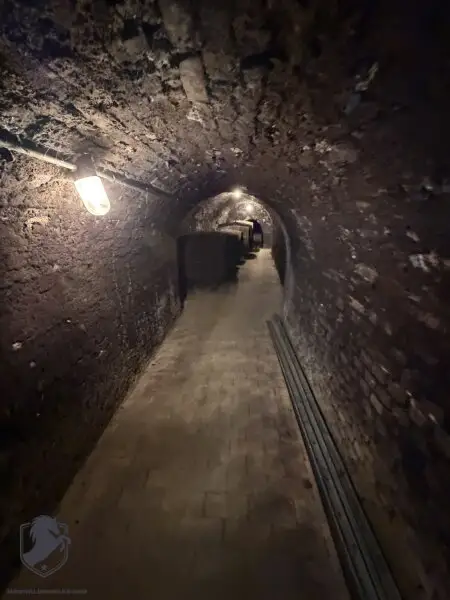 Charmantes Presshaus mit historischem Weinkeller & Entwicklungspotenzial – seltene Gelegenheit!