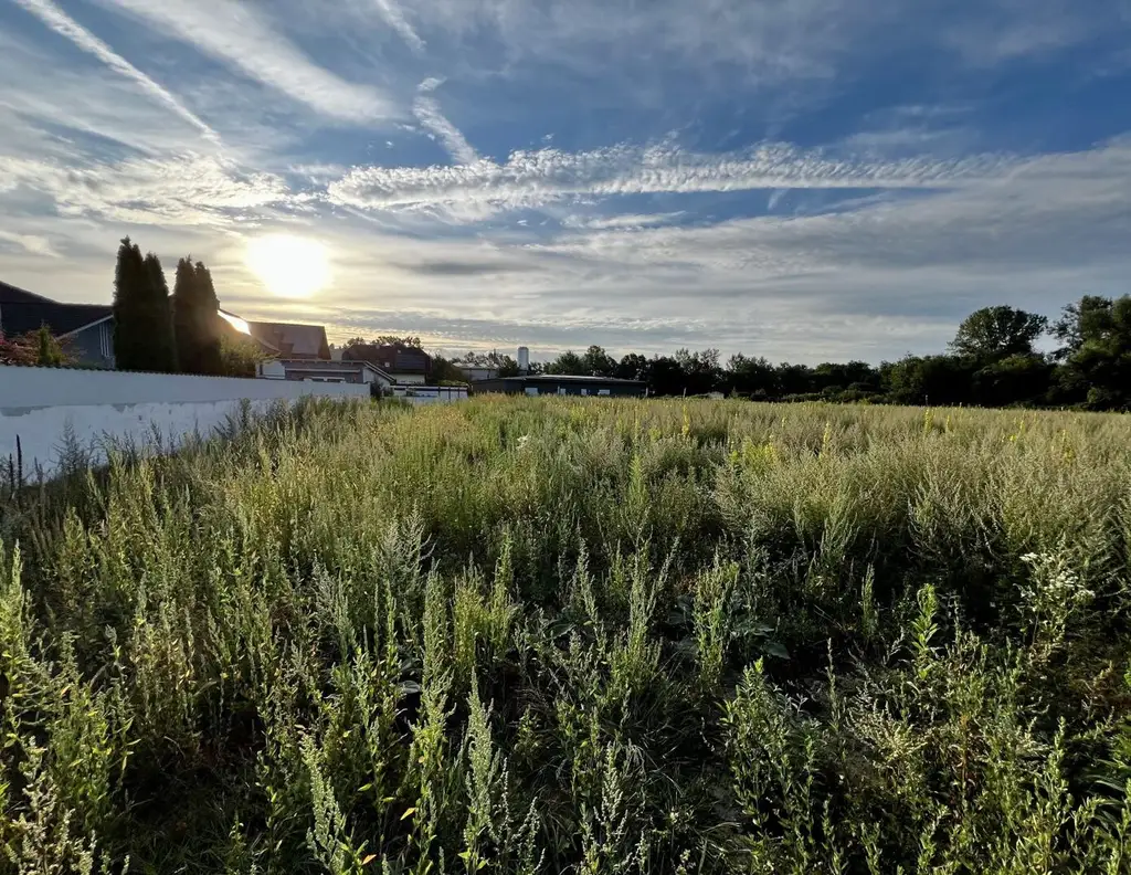 Traumgrundstück für Ihr Eigenheim in idyllischer Lage - 4 Grundstücke (500-540m²) in Luftenberg an der Donau, Oberösterreich