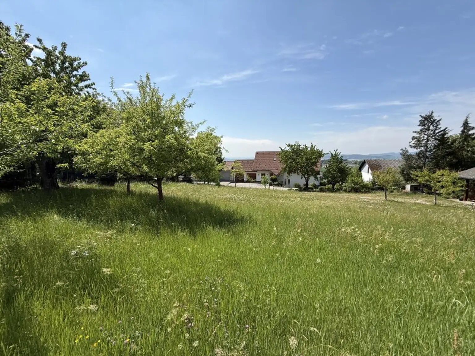Grundstück ohne Bauzwang mit Fernsicht in 4224 Wartberg ob der Aist