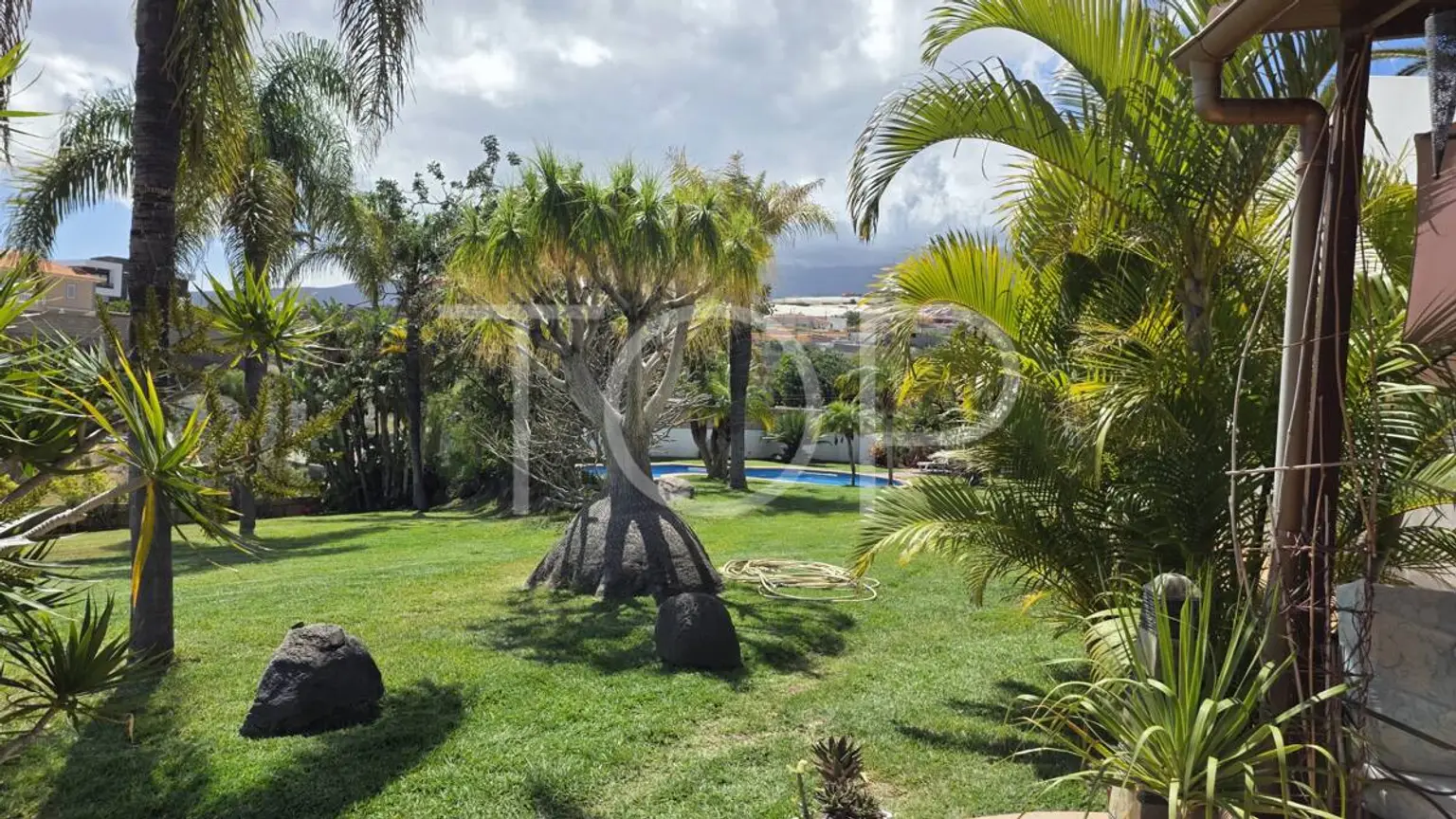 6834557c-ff70-4978-87f7-a9dbfdf299d9