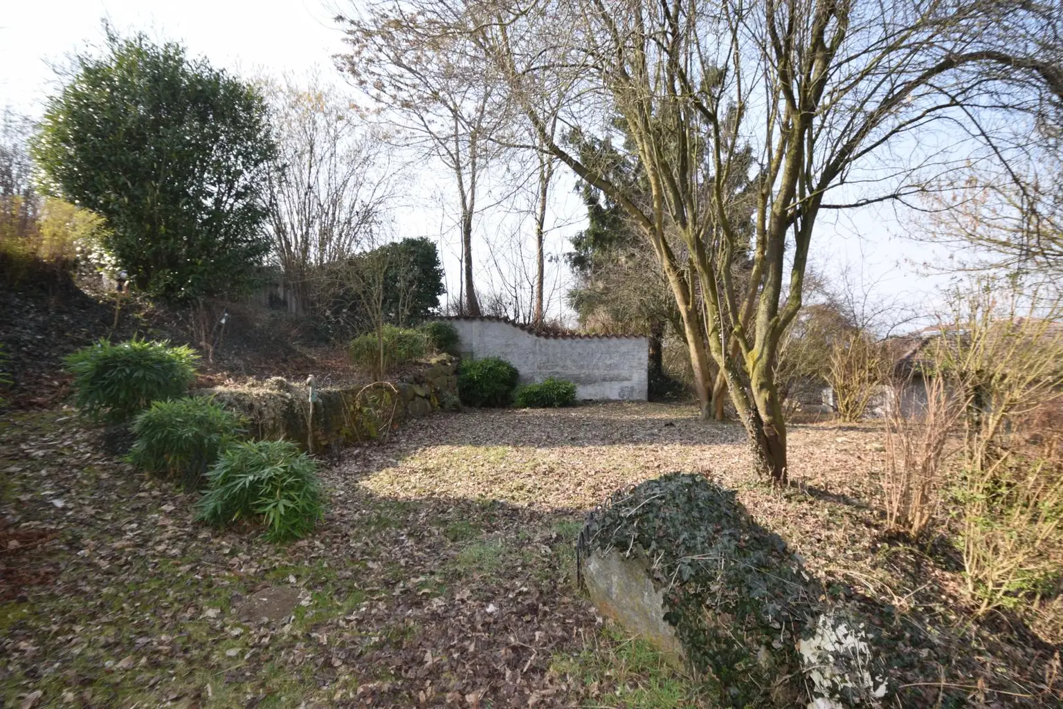 großer Garten1538_nicht beschrift (15)