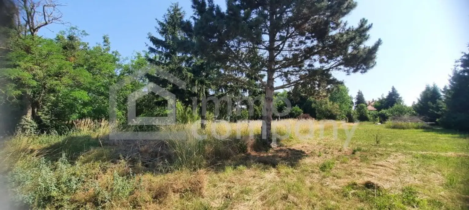 SSV - Charmantes Bauernhaus mit Nebengebäuden in Gyóró – 75 Min von Wien