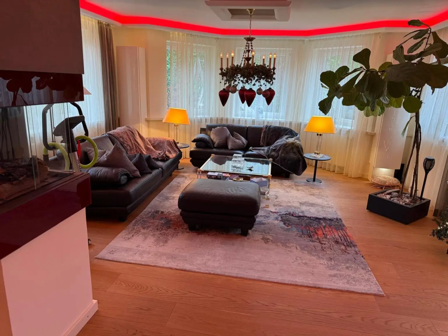 WhatsApp Image 2026-01-08 at 11.53.29