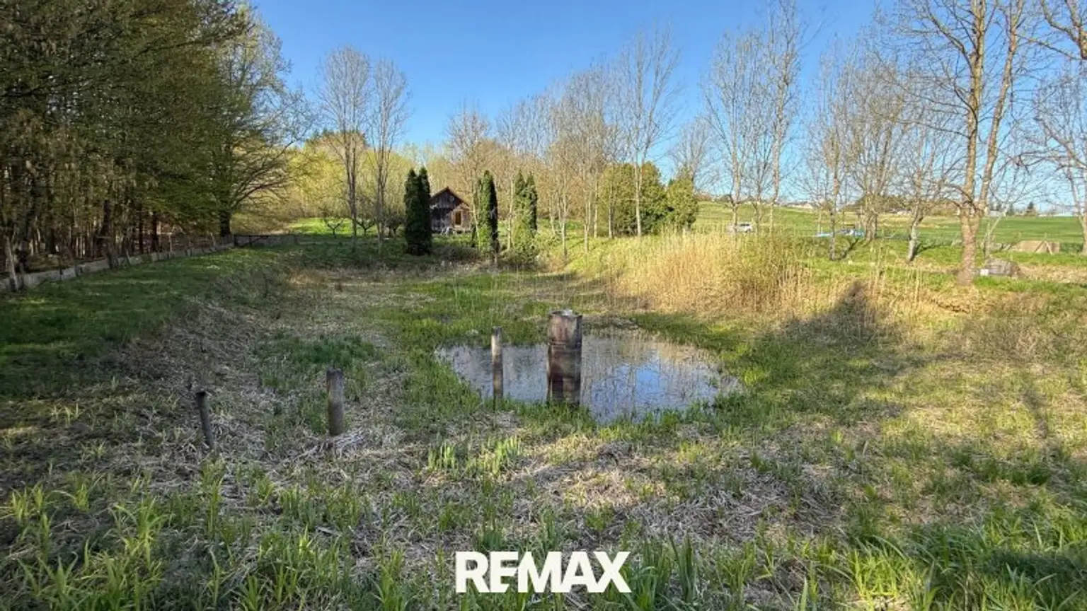 Teich 2