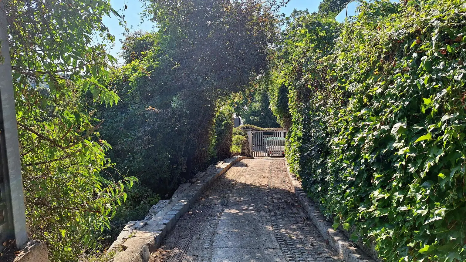 Edelrohbau-Villa, Herrschaftlicher Wohnsitz am Fuße des Kahlenberges an der Donau. Teilrestauriert entkernt und komplette Ausbauplanung.