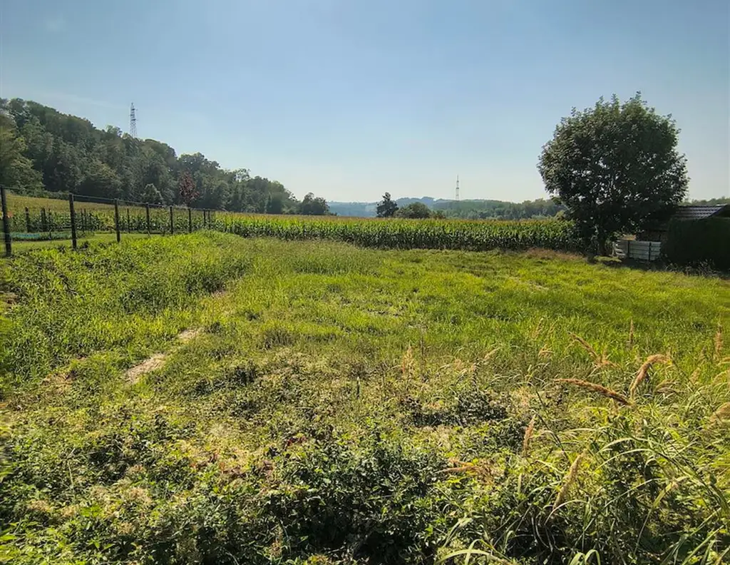 3313 Wallsee/Nähe Donau: Sonniges Baugrundstück in sehr guter, ruhiger Lage