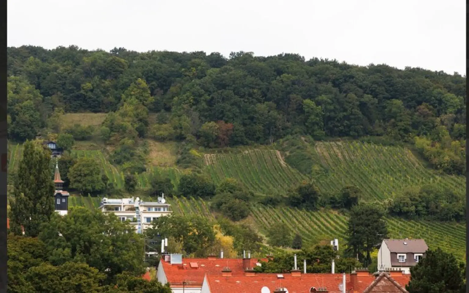 ERSTBEZUG! LUXUS VILLA 1190 MIT DEM WEITBLICK AUF DIE DÖBLINGER WEINBERGE!